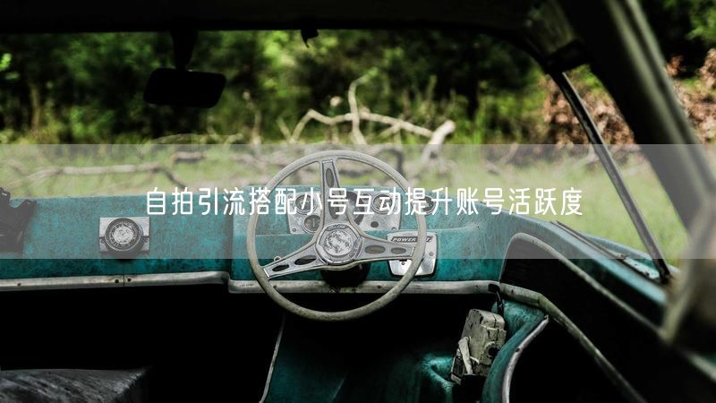 自拍引流搭配小号互动提升账号活跃度