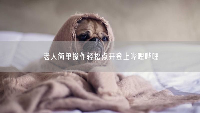 老人简单操作轻松点开登上哔哩哔哩