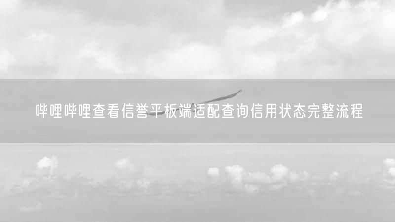 哔哩哔哩查看信誉平板端适配查询信用状态完整流程