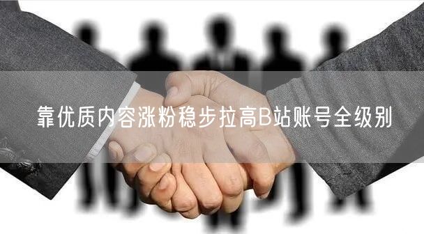靠优质内容涨粉稳步拉高B站账号全级别