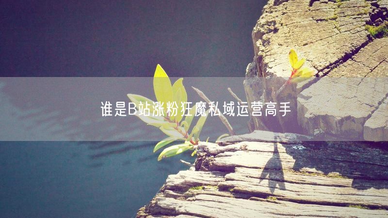 谁是B站涨粉狂魔私域运营高手