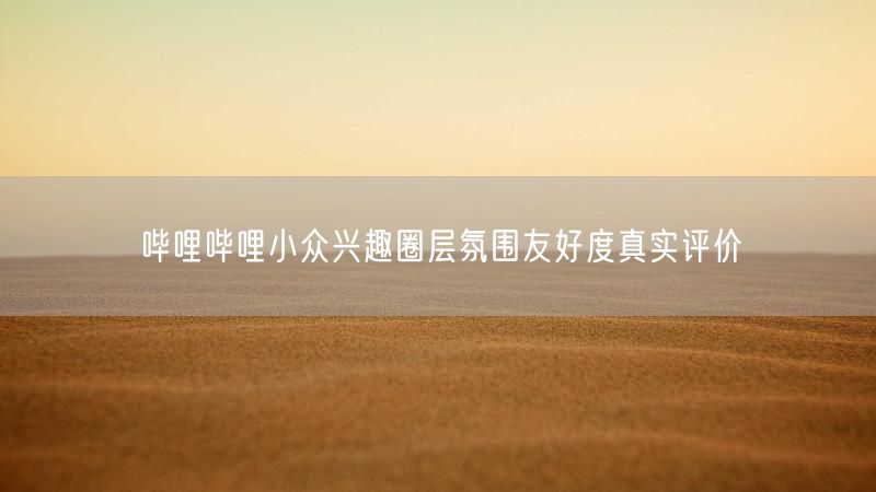 哔哩哔哩小众兴趣圈层氛围友好度真实评价