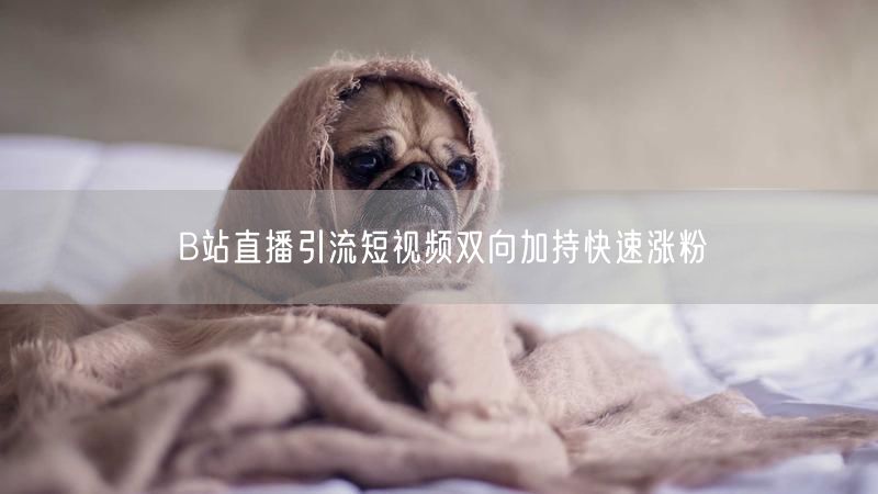 B站直播引流短视频双向加持快速涨粉