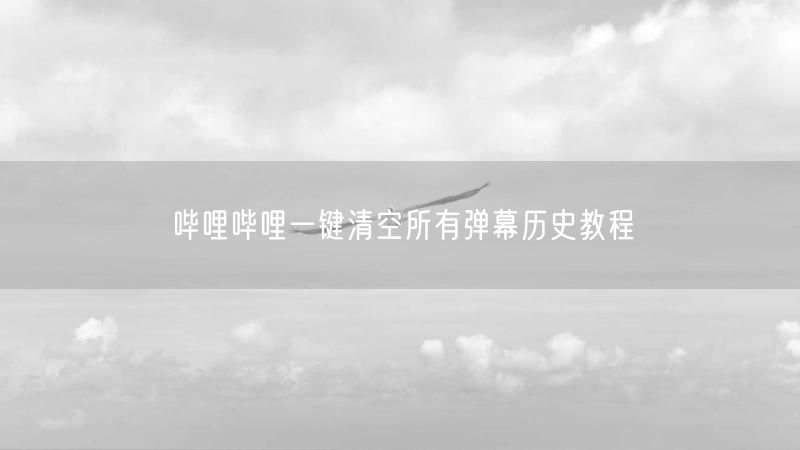 哔哩哔哩一键清空所有弹幕历史教程