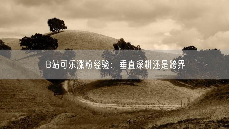 B站可乐涨粉经验：垂直深耕还是跨界