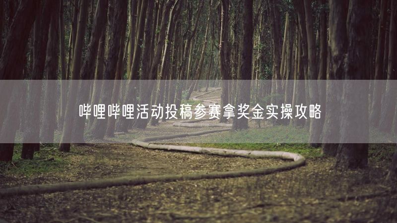 哔哩哔哩活动投稿参赛拿奖金实操攻略