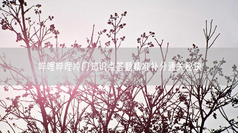 哔哩哔哩冷门知识点答题精准补分通关秘诀