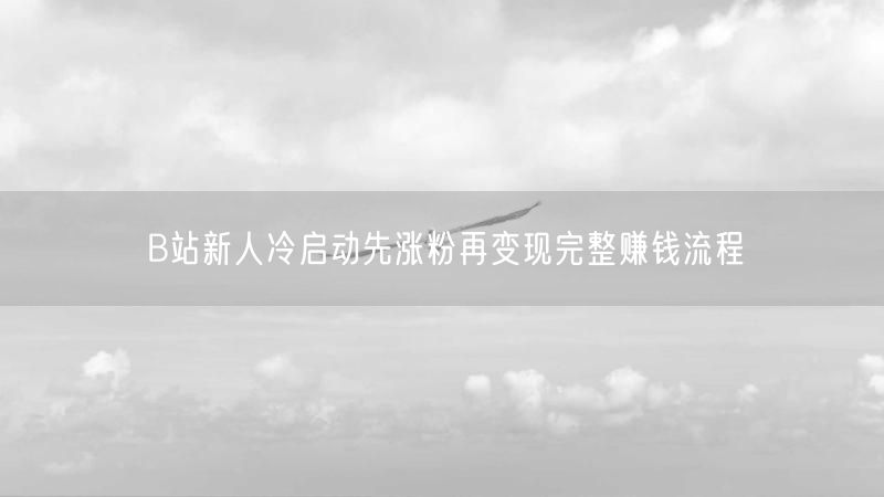 B站新人冷启动先涨粉再变现完整赚钱流程