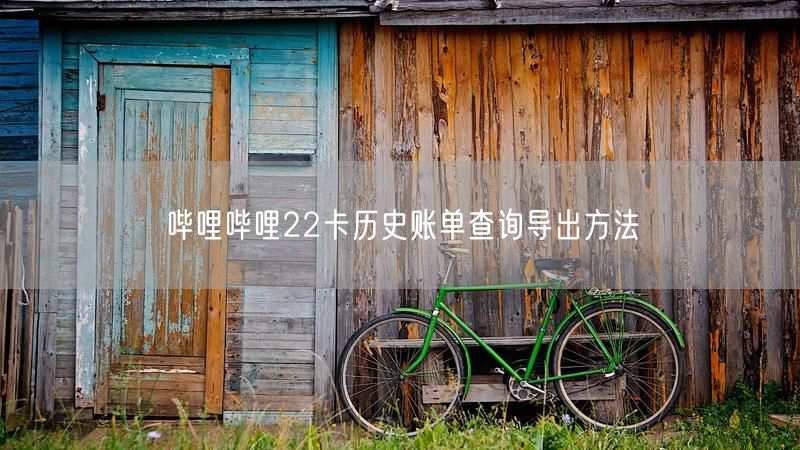 哔哩哔哩22卡历史账单查询导出方法