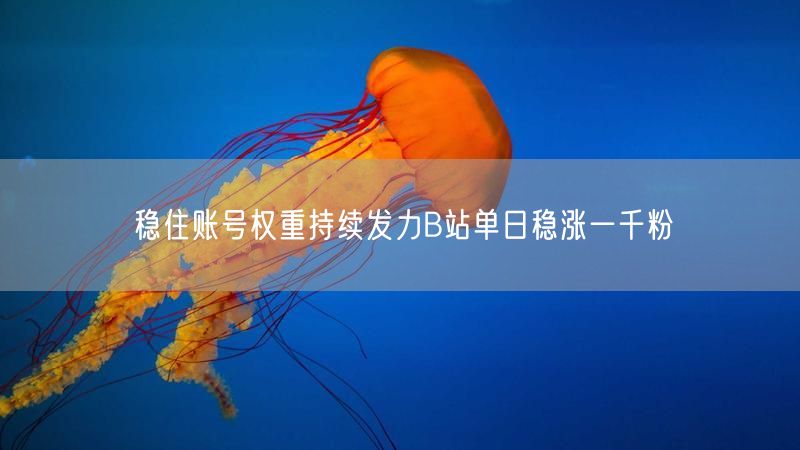 稳住账号权重持续发力B站单日稳涨一千粉