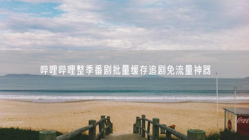 哔哩哔哩整季番剧批量缓存追剧免流量神器