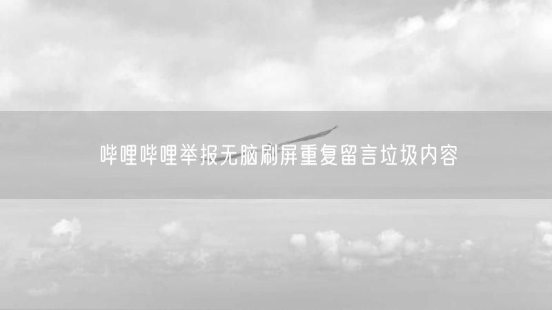 哔哩哔哩举报无脑刷屏重复留言垃圾内容