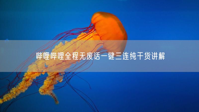哔哩哔哩全程无废话一键三连纯干货讲解