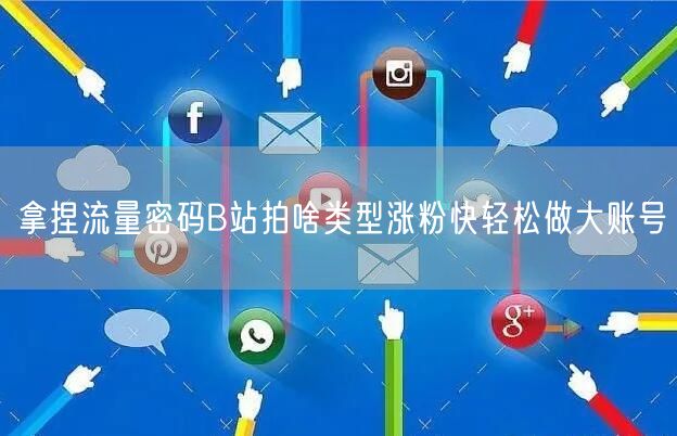拿捏流量密码B站拍啥类型涨粉快轻松做大账号
