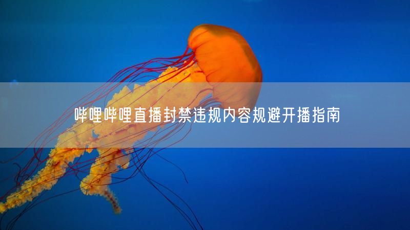 哔哩哔哩直播封禁违规内容规避开播指南
