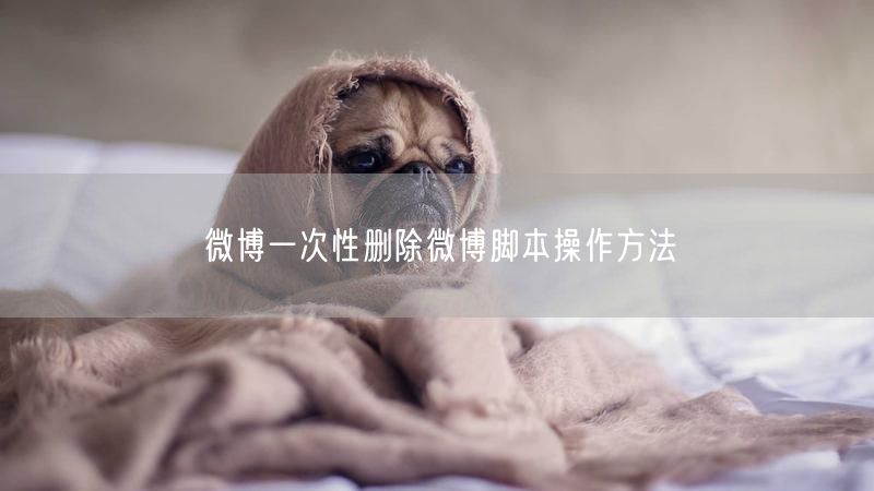 微博一次性删除微博脚本操作方法