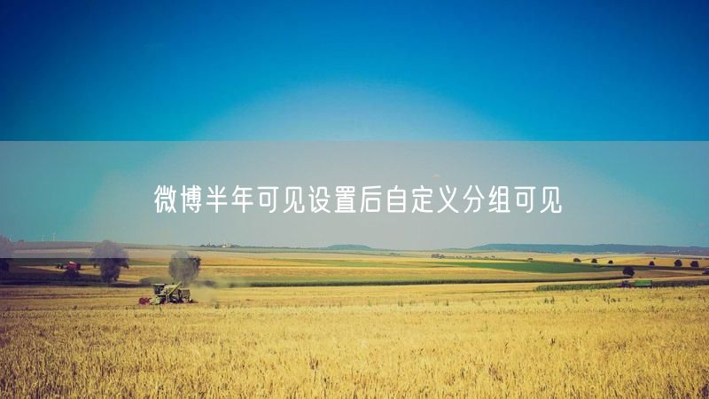 微博半年可见设置后自定义分组可见