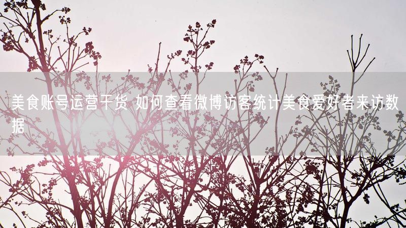 美食账号运营干货 如何查看微博访客统计美食爱好者来访数据