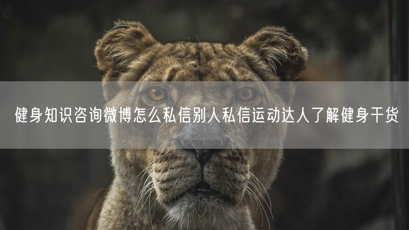 健身知识咨询微博怎么私信别人私信运动达人了解健身干货