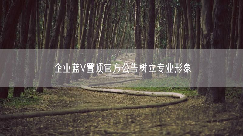 企业蓝V置顶官方公告树立专业形象