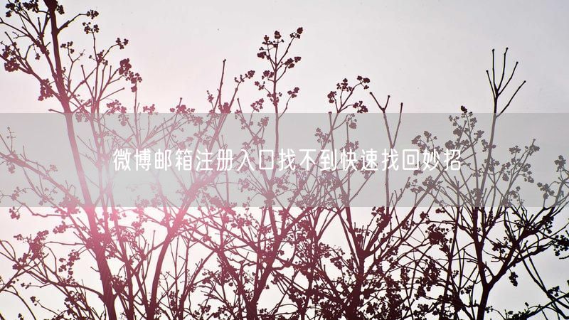 微博邮箱注册入口找不到快速找回妙招