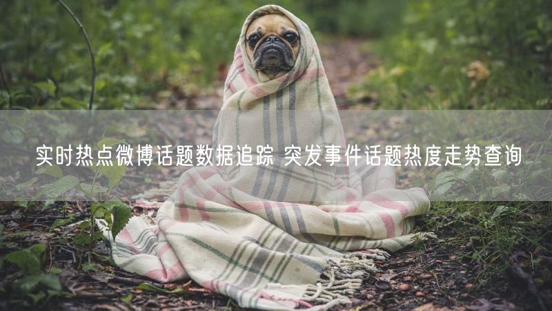 实时热点微博话题数据追踪 突发事件话题热度走势查询