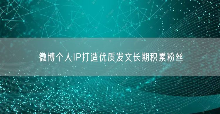 微博个人IP打造优质发文长期积累粉丝