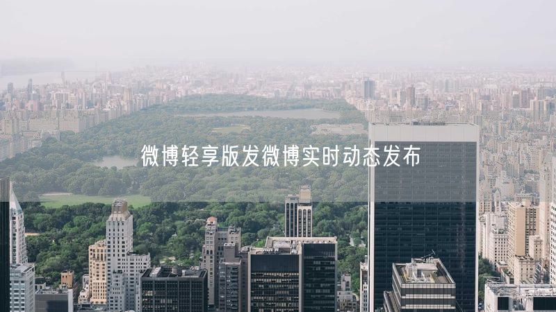 微博轻享版发微博实时动态发布