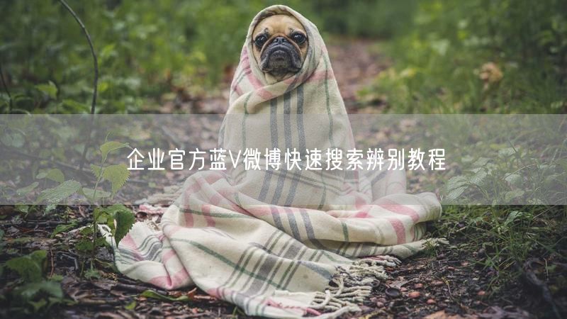 企业官方蓝V微博快速搜索辨别教程