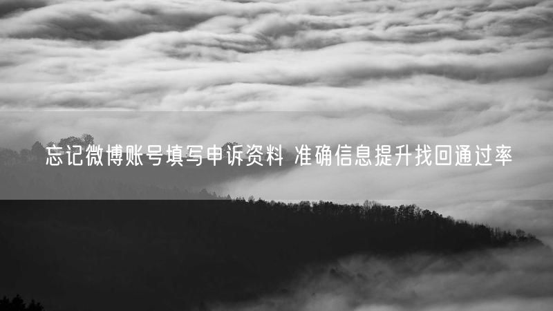 忘记微博账号填写申诉资料 准确信息提升找回通过率