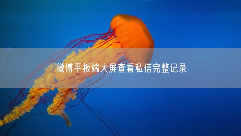 微博平板端大屏查看私信完整记录