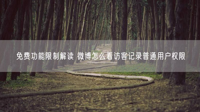 免费功能限制解读 微博怎么看访客记录普通用户权限