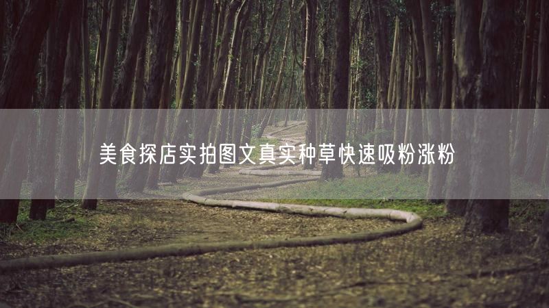 美食探店实拍图文真实种草快速吸粉涨粉