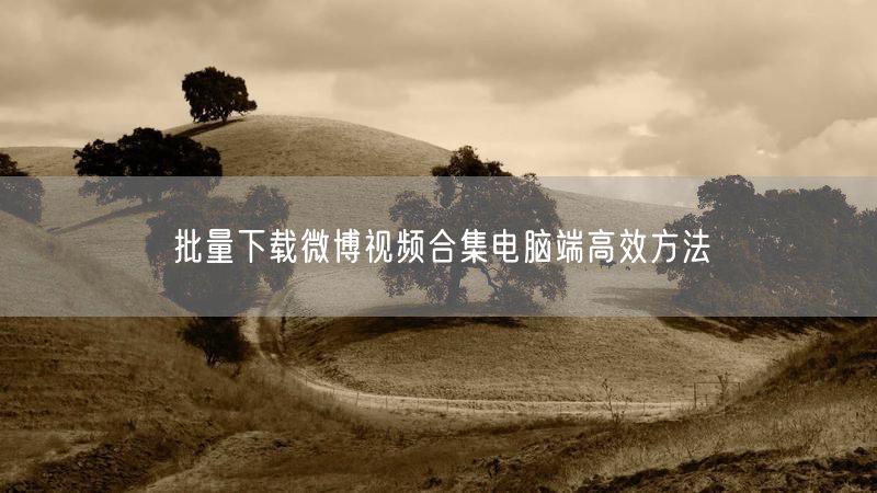 批量下载微博视频合集电脑端高效方法