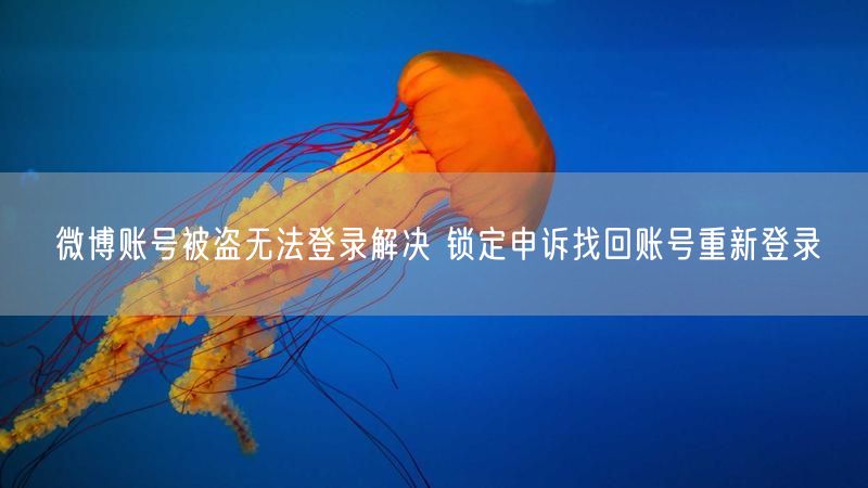 微博账号被盗无法登录解决 锁定申诉找回账号重新登录