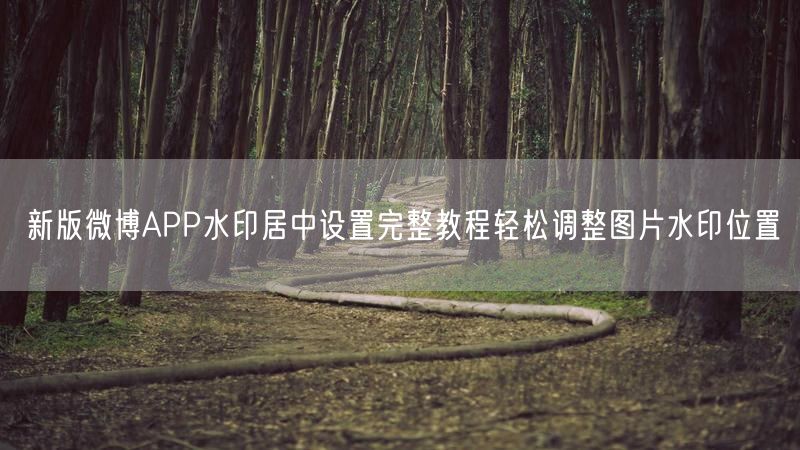 新版微博APP水印居中设置完整教程轻松调整图片水印位置