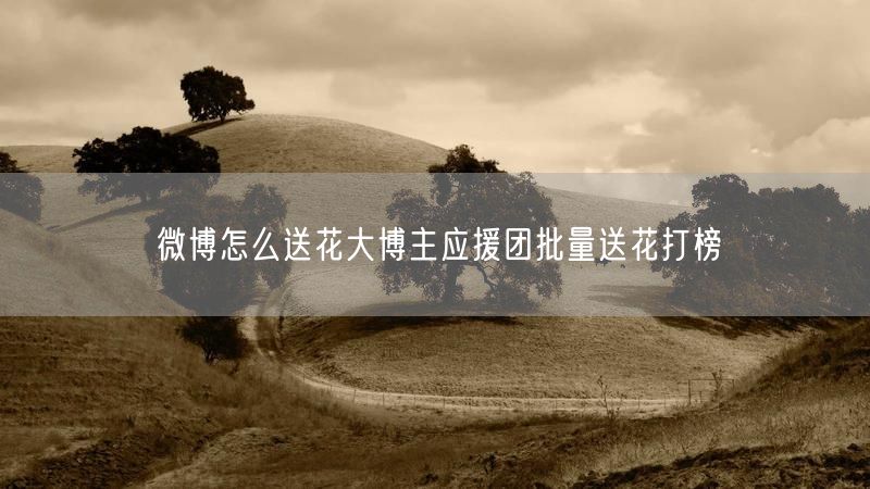 微博怎么送花大博主应援团批量送花打榜